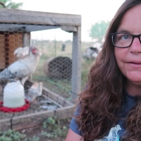 Homestead Animals|| Sad News….A Predator Attacked Our Turkey Hen and Her Poults